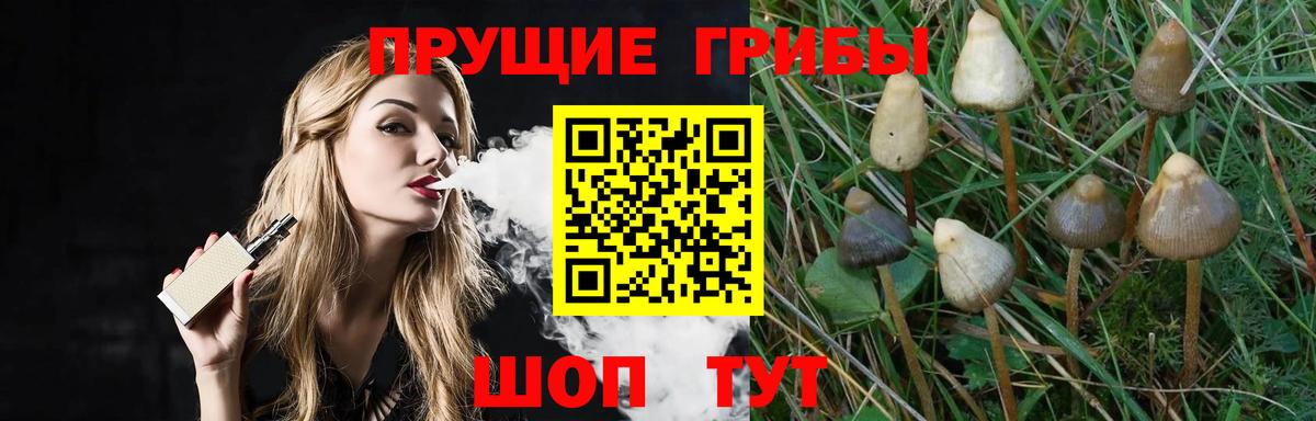 Галлюциногенные грибы Magic Shrooms  Вход с VPN  Грозный 